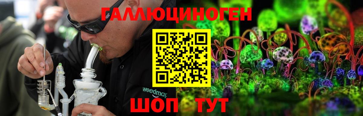 Благовещенск  купить наркотик  Вход с VPN  Галлюциногенные грибы прущие грибы 